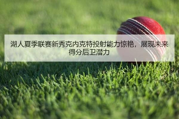 湖人夏季联赛新秀克内克特投射能力惊艳，展现未来得分后卫潜力